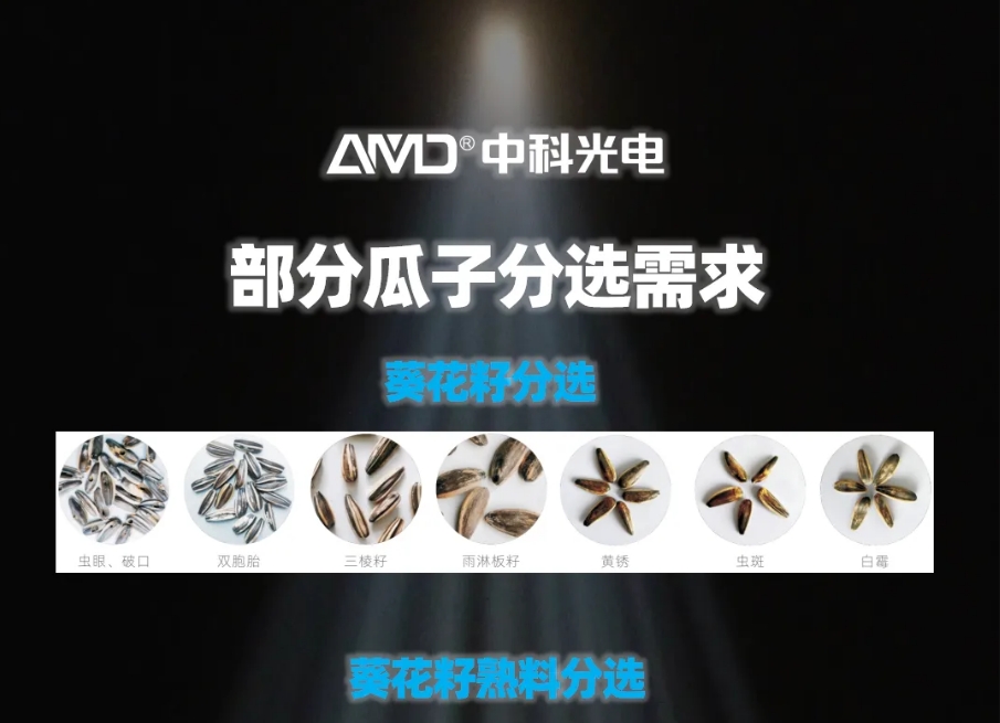 https://www.cn-amd.com/Upload/ueditor/1739781783233069.png